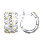 Silver earrings